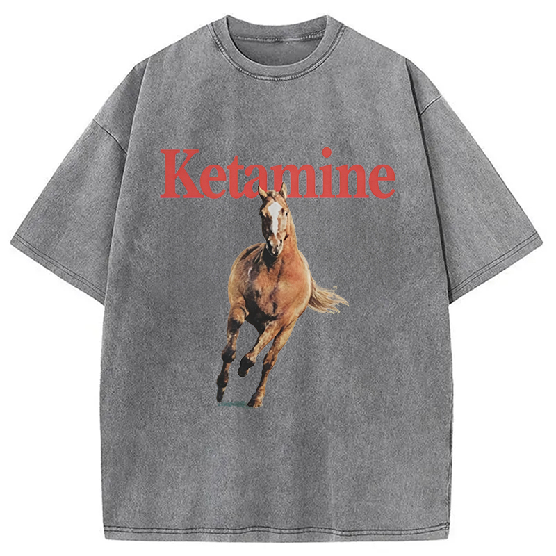 Modecanvas Ketamine Horse Run DTG Printing Washed T-Shirt