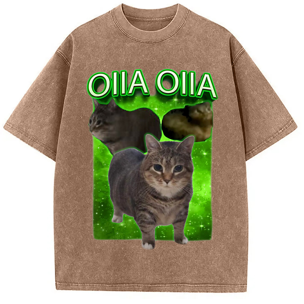 Modecanvas Oiia Cat Funny Meme Washed T-Shirt-modecanvas