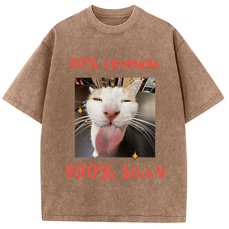 Modecanvas That Silly Cat Meme DTG Printing Washed T-Shirt