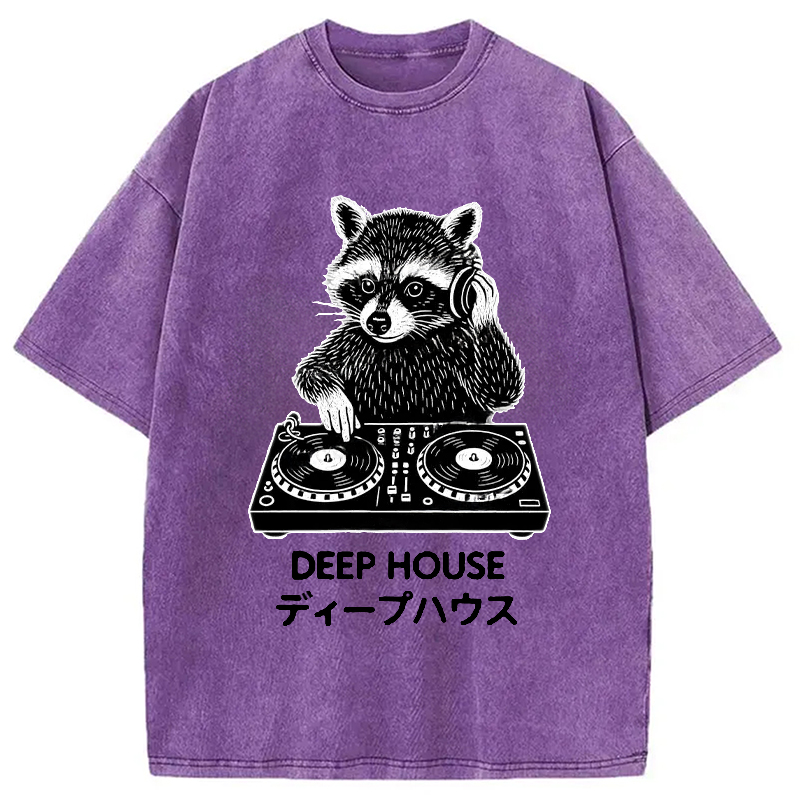 Modecanvas DJ Raccoon Washed T-Shirt