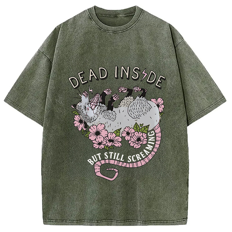 Modecanvas Dead Inside Washed T-Shirt