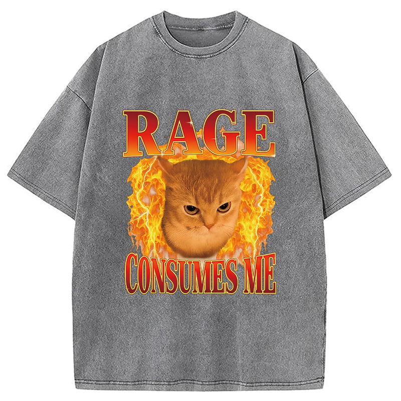 Modecanvas Rage Consumes Me Edgy Funny Cat Meme Washed T-Shirt-modecanvas