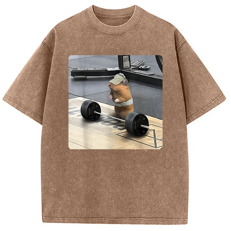 Modecanvas Funny Cute Rat Weightlifting Meme Washed T-Shirt-modecanvas