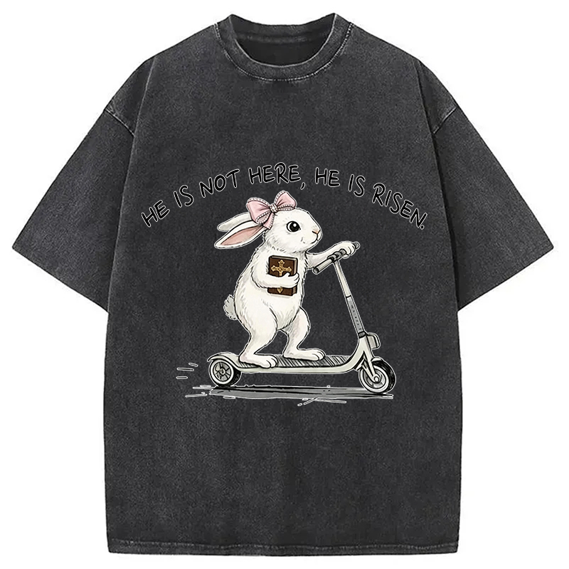 Modecanvas He Is Risen Easter Bunny DTG Printing Washed T-Shirt