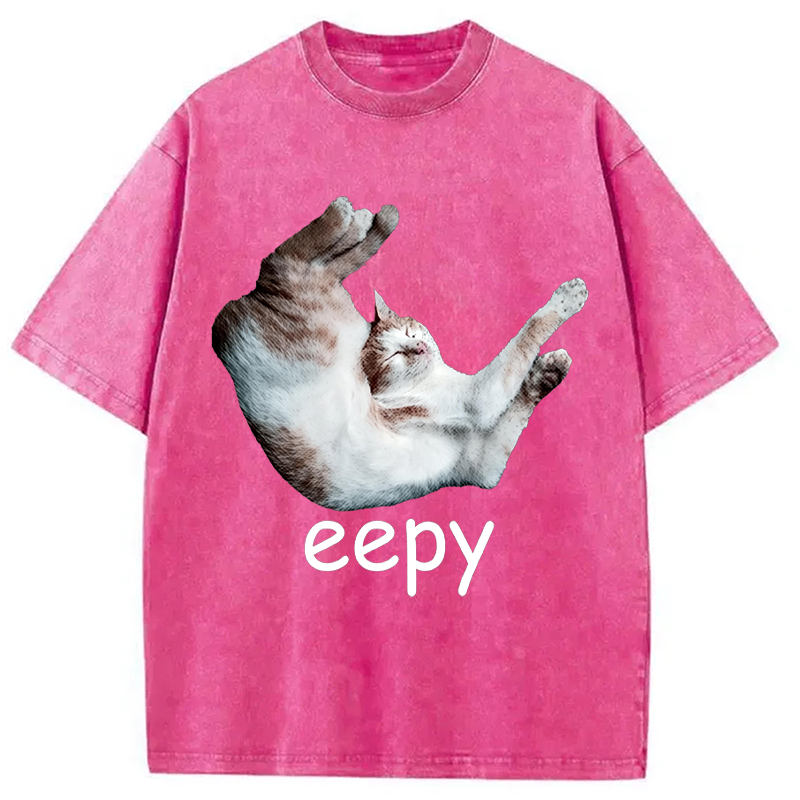Modecanvas Silly Sleepy Cat Meme DTG Printing Washed T-Shirt