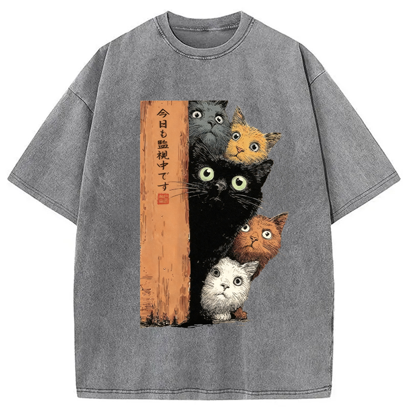 Modecanvas Cats Are Watching You Washed T-Shirt