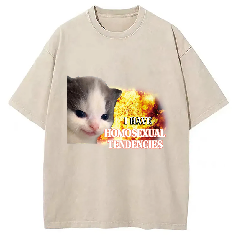 Modecanvas I Have Homosexual Tendencies Evil Kitty Meme DTG Printing Washed T-Shirt