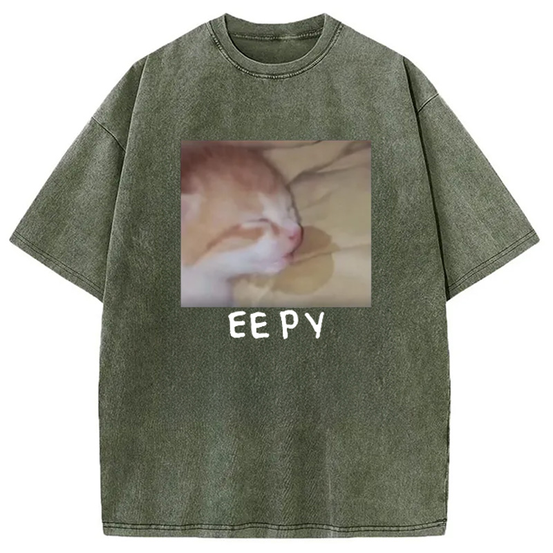 Modecanvas Eepy Kitty Meme Washed T-Shirt