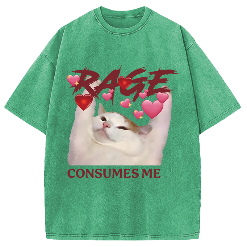 Modecanvas Rage Consumes Me Funny Cat Meme DTG Printing Washed T-Shirt