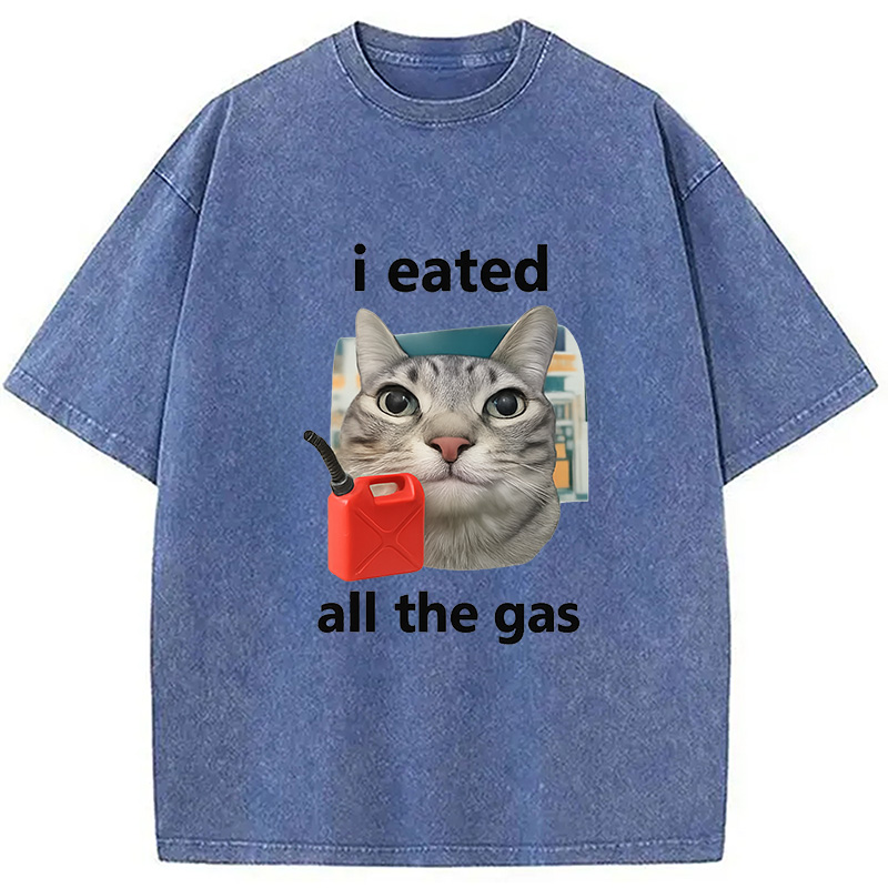 Modecanvas I Eated All The Gas Cat Funny Washed T-Shirt-modecanvas