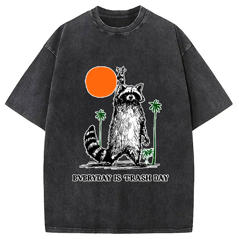 Modecanvas Everyday Is Trash Day Raccoon Washed T-Shirt