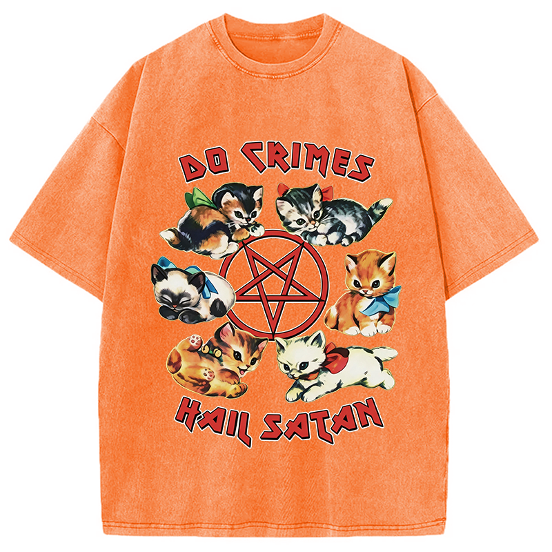 Modecanvas Cute Cats Do Crimes Hail Satan DTG Printing Washed T-Shirt