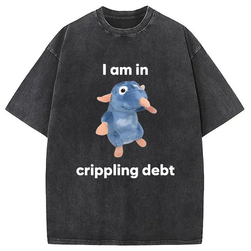 Modecanvas I Am in Crippling Debt Washed T-Shirt