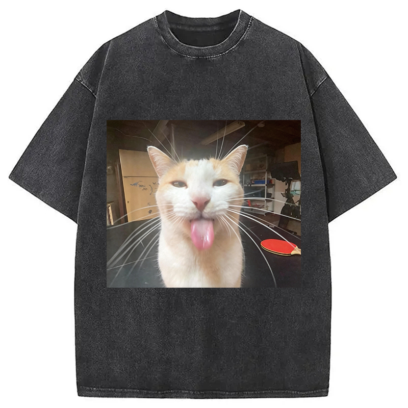 Modecanvas Silly Bleh Funny Cat Meme DTG Printing Washed T-Shirt