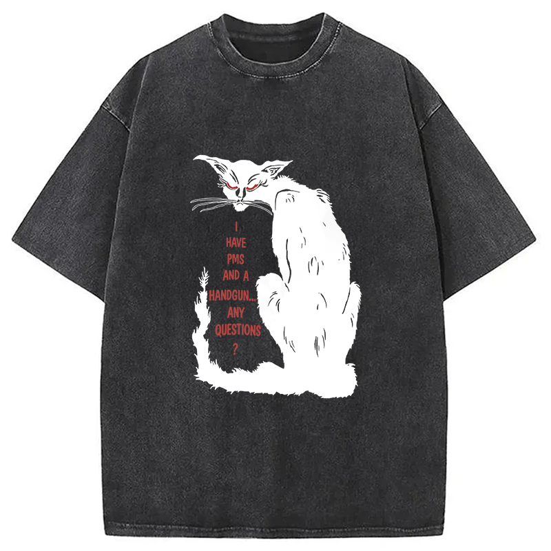 Modecanvas I Have PMS And A Handgun Any Questions? DTG Printing Washed T-Shirt