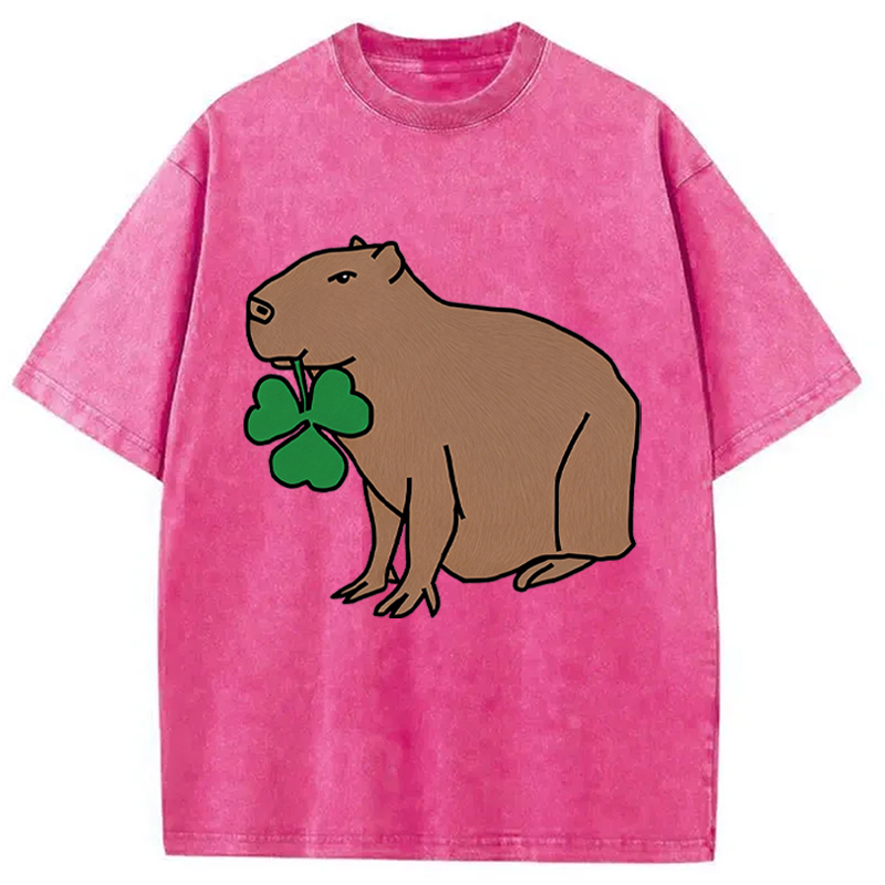 Modecanvas Cute Capybara with Shamrock DTG Printing Washed T-Shirt
