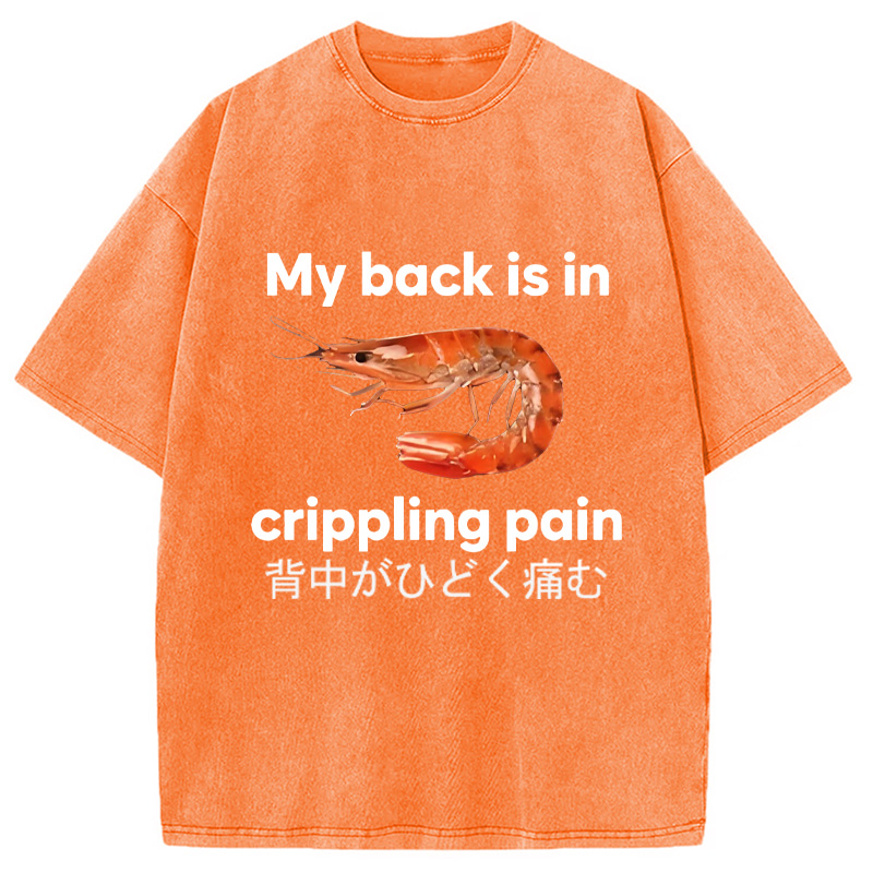 Modecanvas My Back Is in Crippling Pain Washed T-Shirt-modecanvas