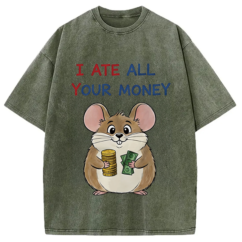 Modecanvas I Ate All Your Money Meme DTG Printing Washed T-Shirt-modecanvas