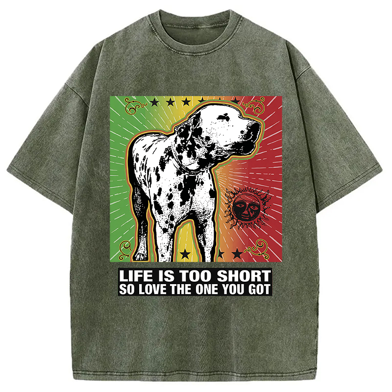 Modecanvas Life Is Too Short So Love The One You Got DTG Printing Washed T-Shirt