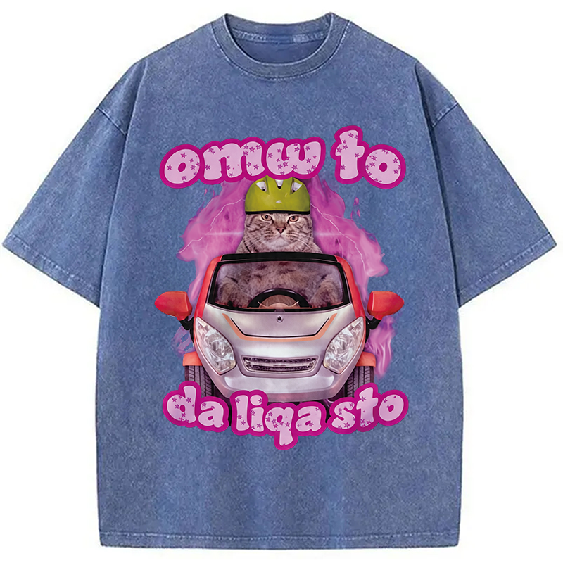 Modecanvas Only The Will To Funny Cat Meme DTG Printing Washed T-Shirt