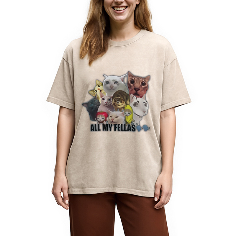 Modecanvas All My Fellas Internet Cats Meme Washed T-Shirt
