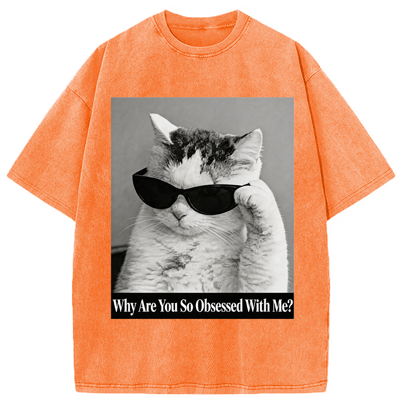 Modecanvas Why Are You So Obsessed WIth Me? Cat Meme DTG Printing Washed T-Shirt