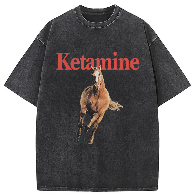 Modecanvas Ketamine Horse Run DTG Printing Washed T-Shirt