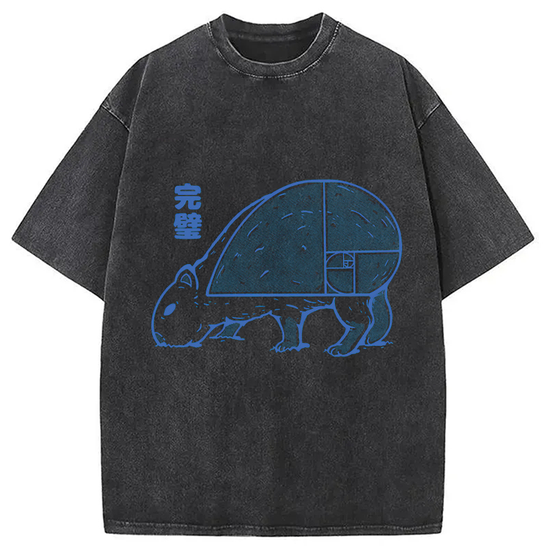 Modecanvas Capy Perfect Butt DTG Printing Washed T-Shirt