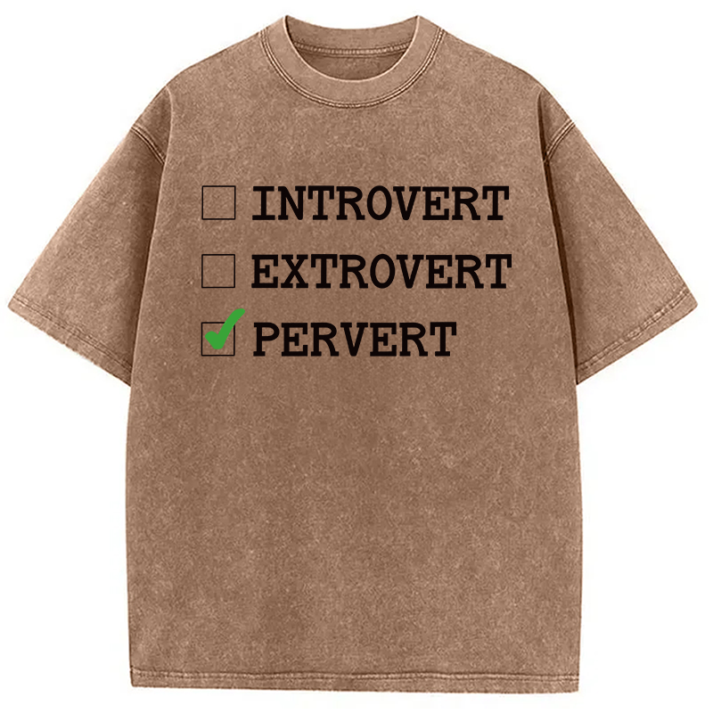 Modecanvas Introvert Extrovert Pervert DTG Printing Washed T-Shirt