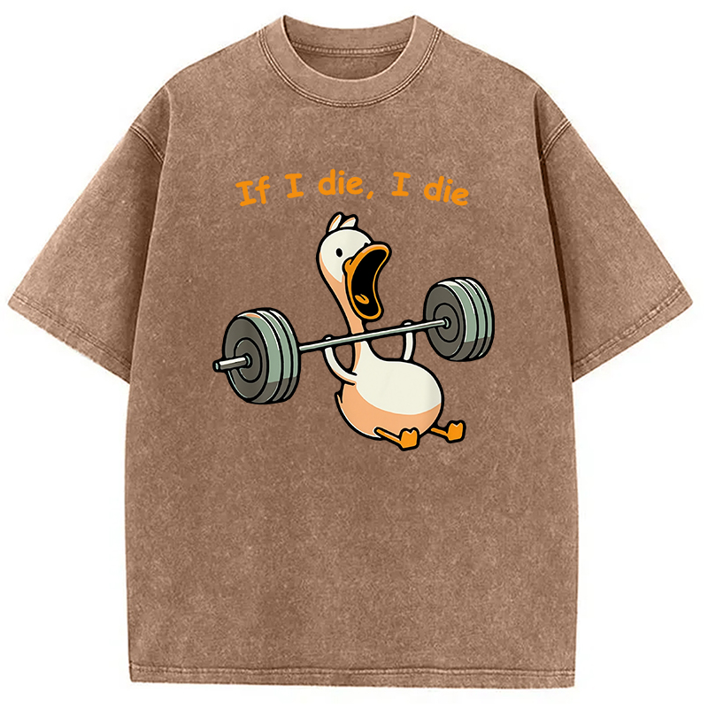 Modecanvas I Die Funny Meme Washed T-Shirt