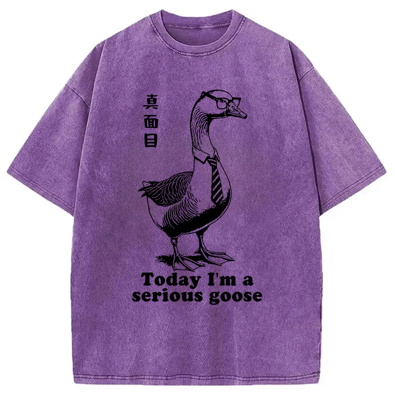 Modecanvas Serious Goose Washed T-Shirt