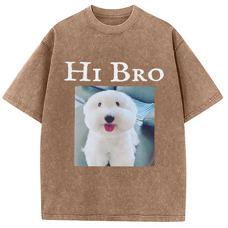Modecanvas Hi Bro Dog Meme DTG Printing Washed T-Shirt