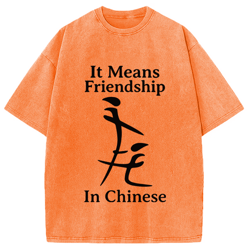Modecanvas Funny Inappropriate Meme DTG Printing Washed T-Shirt