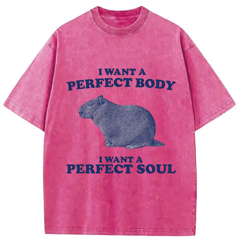Modecanvas Capybara I Want A Perfect Washed T-Shirt