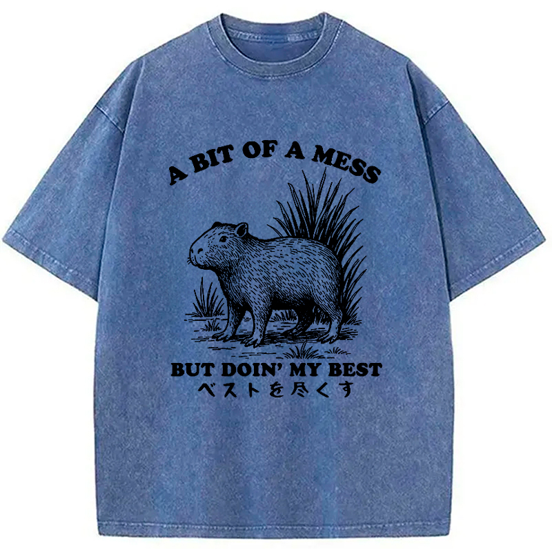 Modecanvas Capybara Doing Its Best Washed T-Shirt
