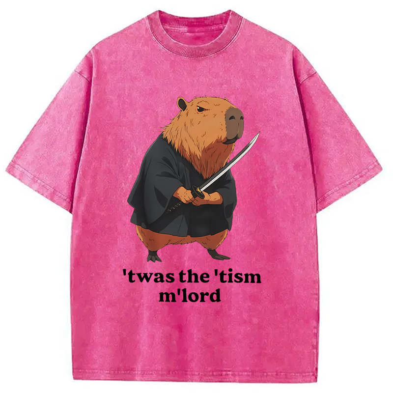 Modecanvas Focused Samurai Capybara Washed T-Shirt