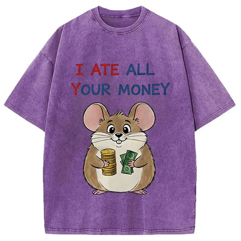 Modecanvas I Ate All Your Money Meme DTG Printing Washed T-Shirt-modecanvas