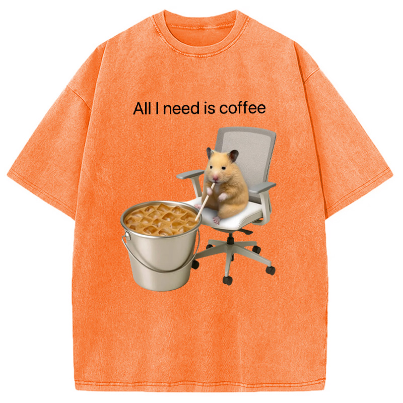 Modecanvas All I Need Is Coffee Meme Washed T-Shirt