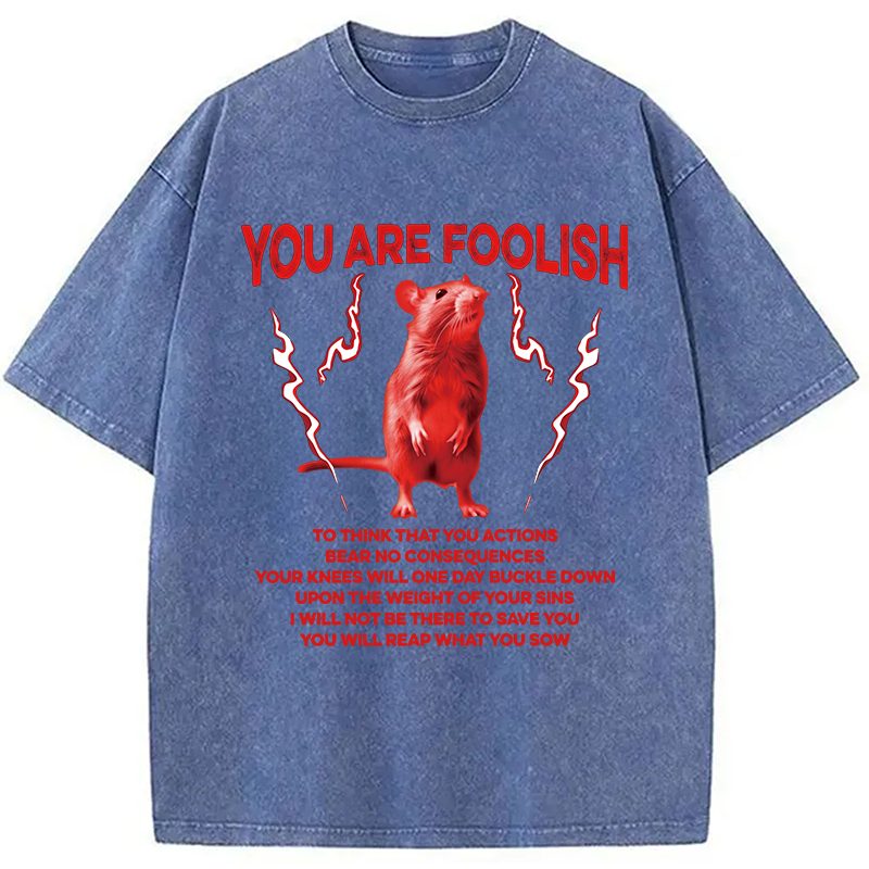 Modecanvas You Are Foolish Rat DTG Printing Washed T-Shirt
