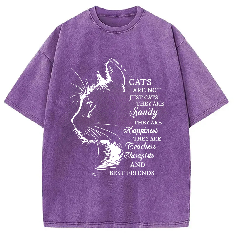Modecanvas Cat Best Friend DTG Printing Washed T-Shirt