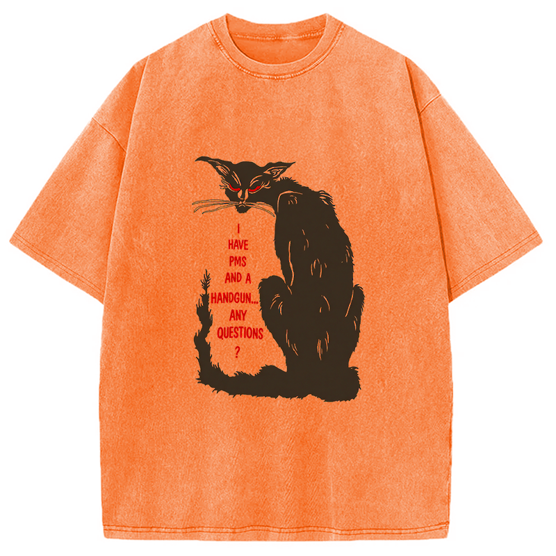 Modecanvas I Have PMS And A Handgun Any Questions? DTG Printing Washed T-Shirt