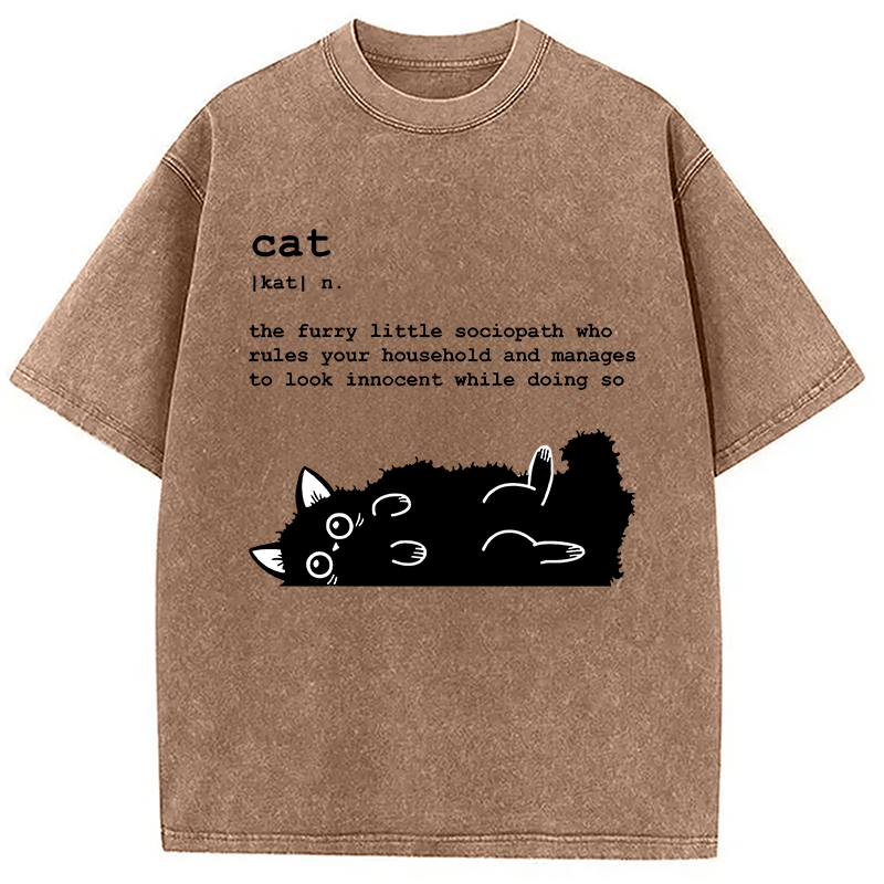 Modecanvas Definition Of Cat Funny Washed T-Shirt