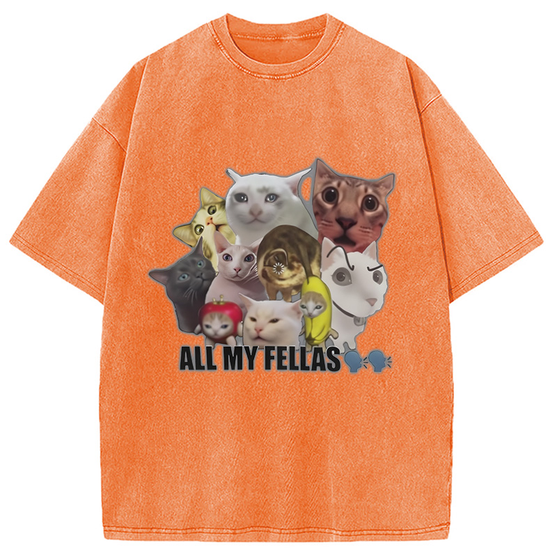 Modecanvas All My Fellas Internet Cats Meme Washed T-Shirt