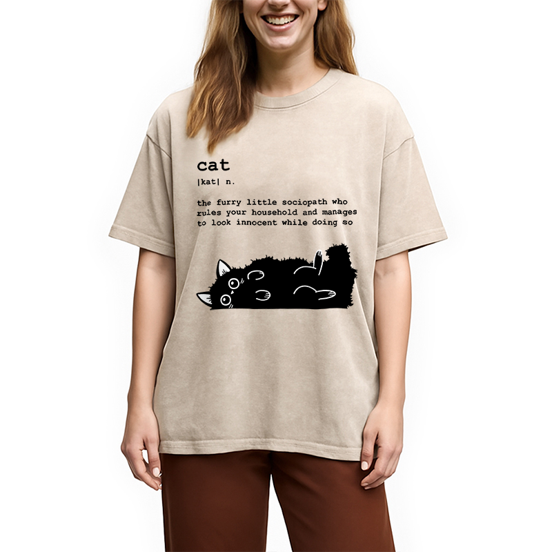 Modecanvas Definition Of Cat Funny Washed T-Shirt