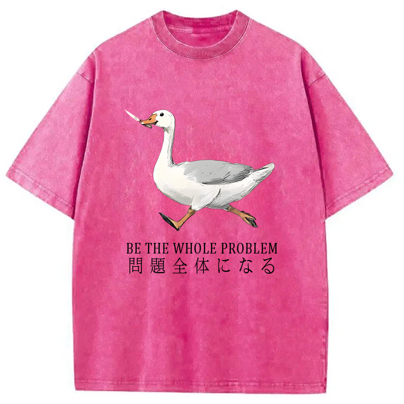 Modecanvas Running Stupid Goose Washed T-Shirt