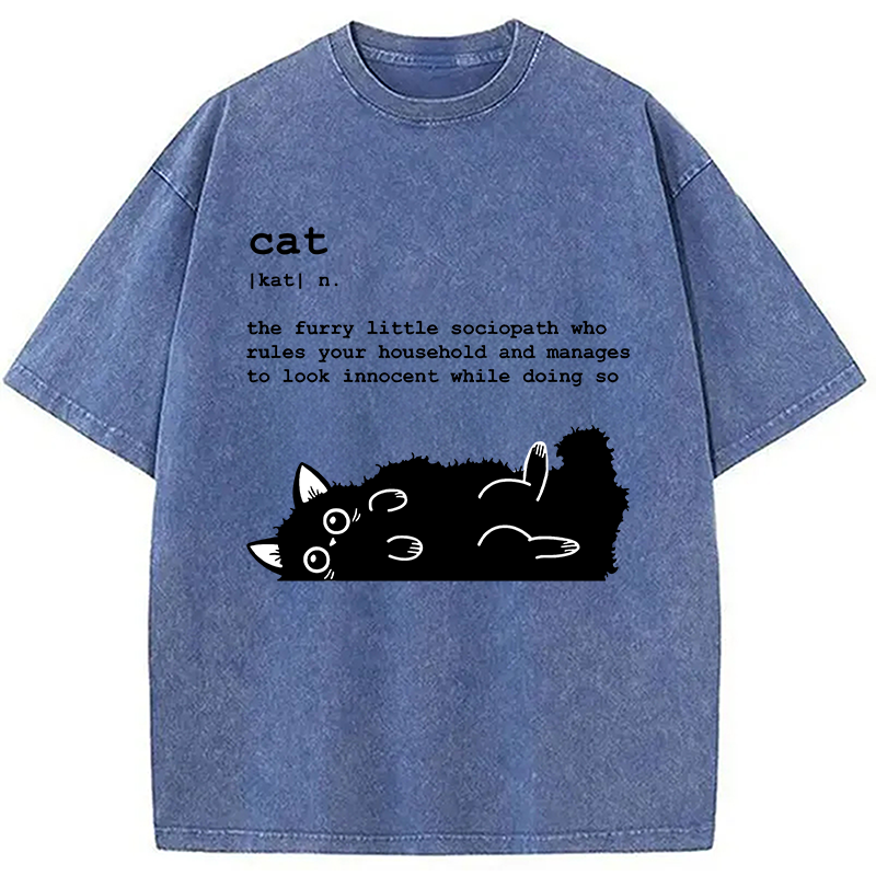 Modecanvas Definition Of Cat Funny Washed T-Shirt