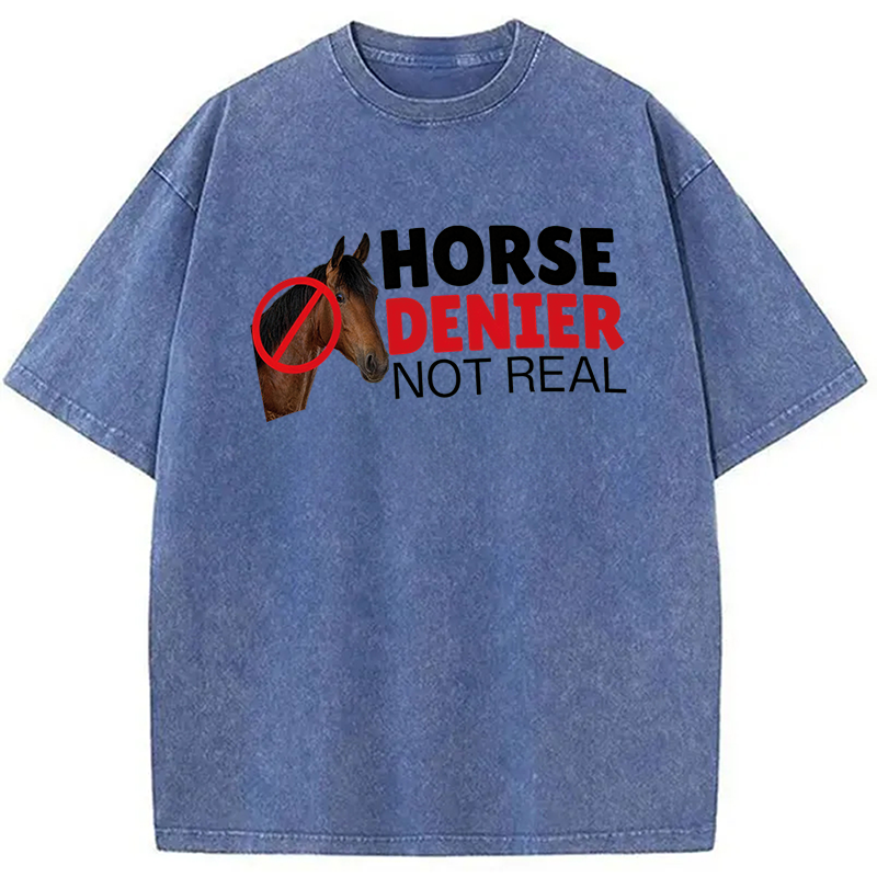 Modecanvas Horse Denier They Are Not Real DTG Printing Washed T-Shirt