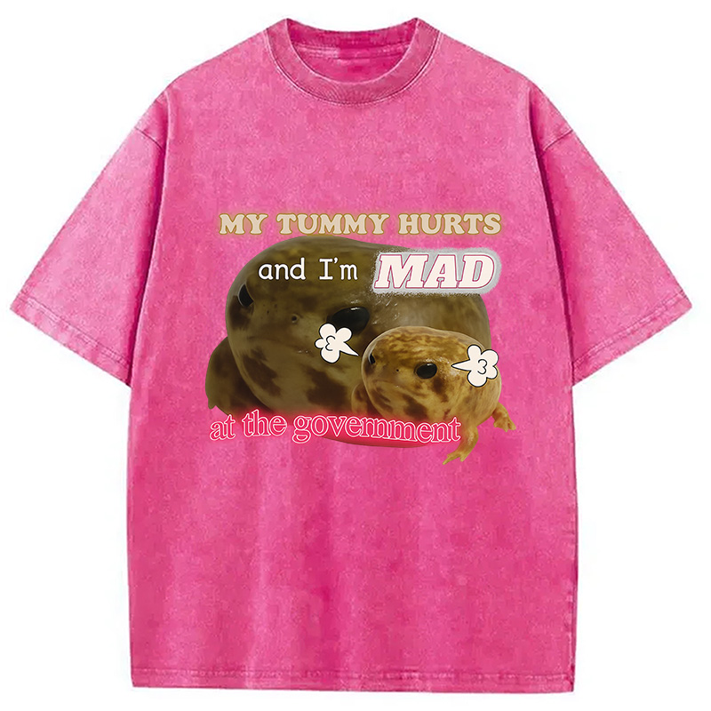 Modecanvas My Tummy Hurts Funny Frog Meme Washed T-Shirt