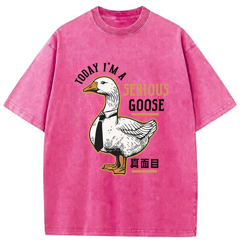 Modecanvas Japanese Serious Goose Washed T-Shirt