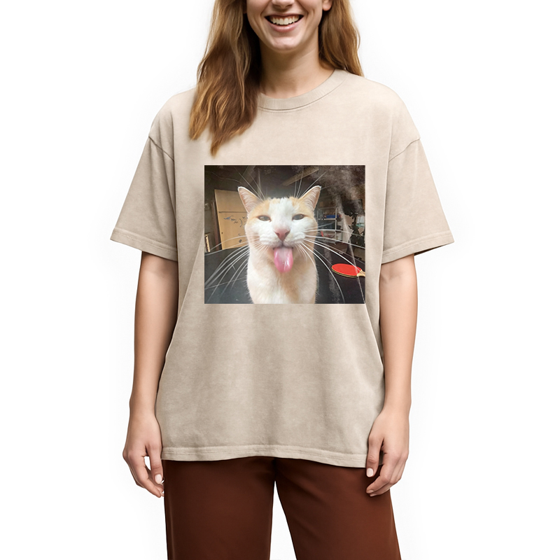 Modecanvas Silly Bleh Funny Cat Meme DTG Printing Washed T-Shirt